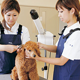 宮崎ペットワールド専門学校